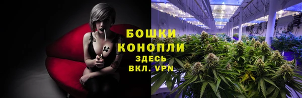 спайс Корсаков