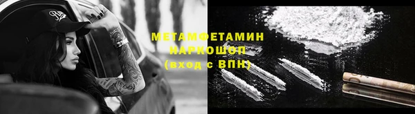 индика Костерёво