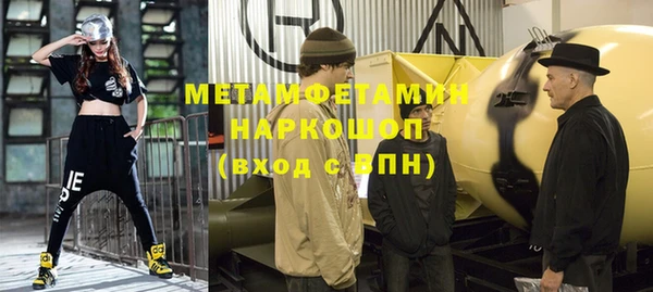 индика Костерёво
